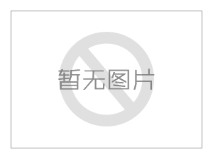 水泥窑SCR脱硝催化剂